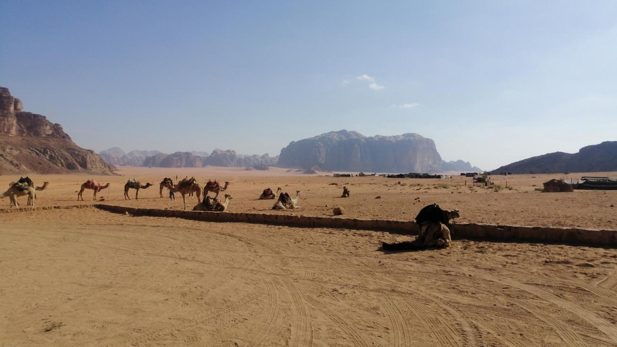 Omar Ghazi Camp Wadi Rum Exterior foto