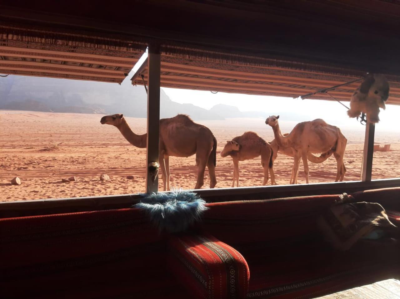 Omar Ghazi Camp Wadi Rum Exterior foto
