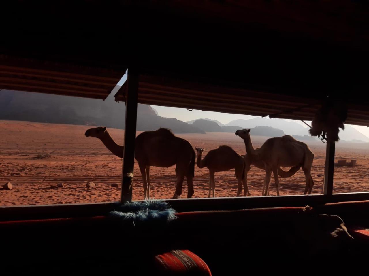 Omar Ghazi Camp Wadi Rum Exterior foto